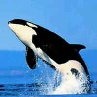 4d26fc629e02826df98d09538b91ed8f3671a52d