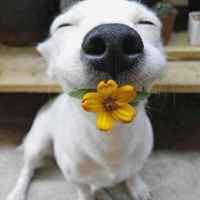 C95119b32093164ea44a48b827dcacc39018edb9