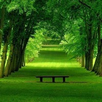 F136a667a37471cd11f995be92a179ee535642dd