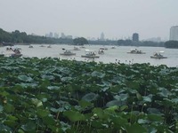 65ff40160f327ca81ce700b519f1439156ad48df