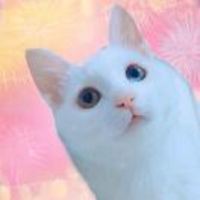 7934955cc84027819673482fea0143eb0bd0e274