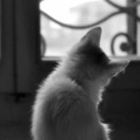 Af7ddeec64f30b496944ed3af362a03b79f4fb0c