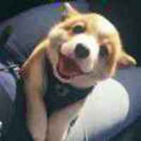 7471997b2a9b46ef2c316417e35731fa6678dded