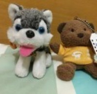 6fcf62fcbca92567b56de4150a3bcf5c2257303b
