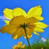 69106cb6a5739d08181f05ede67c4c8407425891