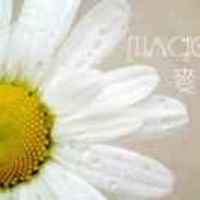 1296ebc0d2426fcae7f23236c22490f66d8f0bb5