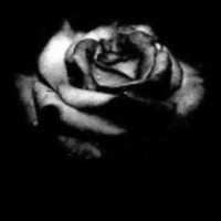 B65fc6784f0b697119816fd11f573cd95ab80903