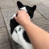 13759cb0eadf566207c7e2ddf926fda51948ed98