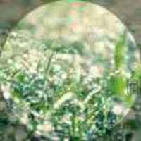 151ed619382cd42019fcf22def3fe56e027519d8