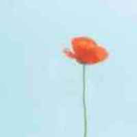 4547e853f5dab714fb0e39a4420ca6f10bacd299