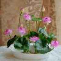2ff7827a15c2c21b5fe6e56cae039ab7d31252e9
