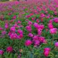 7d3aa89515ad9a677c2f84ff7361c31320583ce5