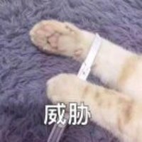 C957acc92e7d3c8145246b66e7bb51fc75ae362b