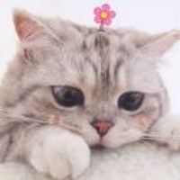 73d892686ee53cb66f4ed931ab514579aec9c575