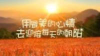 706ae1b875acedb7134b904f527171101fcc5b21