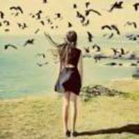 40c80d990c566cd6be3e6bc187e31198b776a851