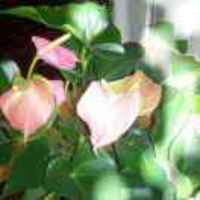 203b9bd3707262ef7e0be9d1981dbdcc8002e8de
