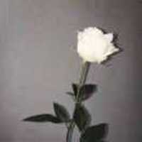 88f0f01e7cca10d5a8fc4bee93fedec88d948484